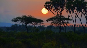 Landscape Samburu 12.2